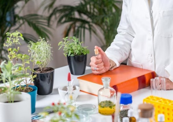 Best Homeopathic Solutions Clinic in Pitampura